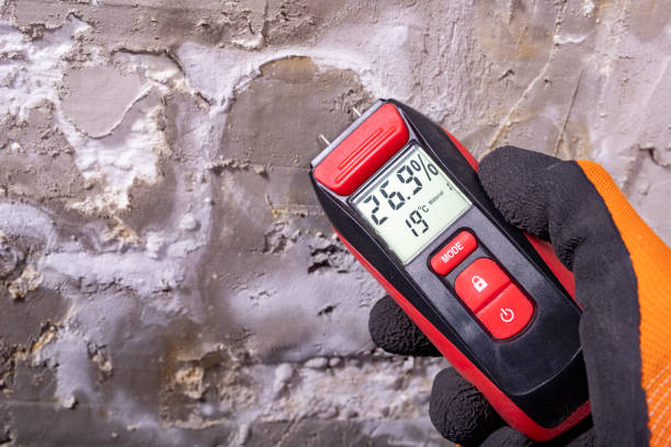Best Local Mold Removal Service  in Dash Point, WA