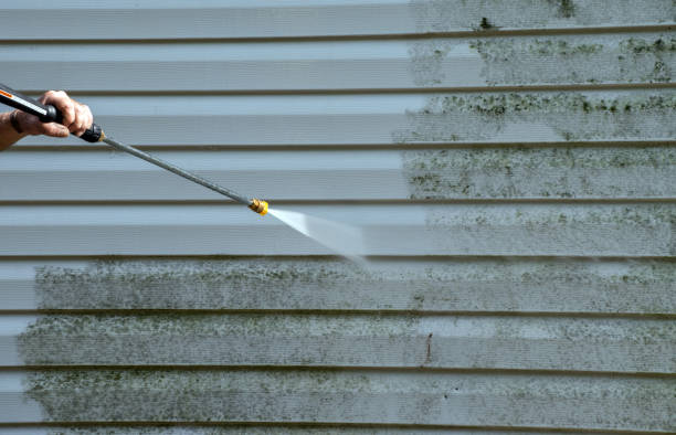 Certified Mold Removal in Dash Point, WA