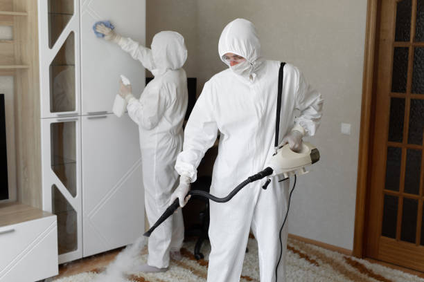 Crawl Space Mold Removal in Dash Point, WA