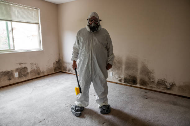 Best Office Mold Removal Services  in Dash Point, WA